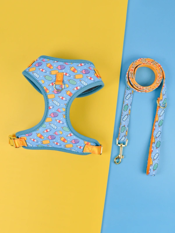 1 Pcs Cute Design Adjutable Luxury Designer Pet Harness &1 Pcs Color Matching Pet Dog Leashes For Small And Medium Puppy