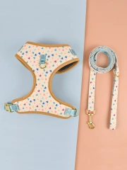 1 Pcs Cute Design Adjutable Luxury Designer Pet Harness &1 Pcs Color Matching Pet Dog Leashes For Small And Medium Puppy
