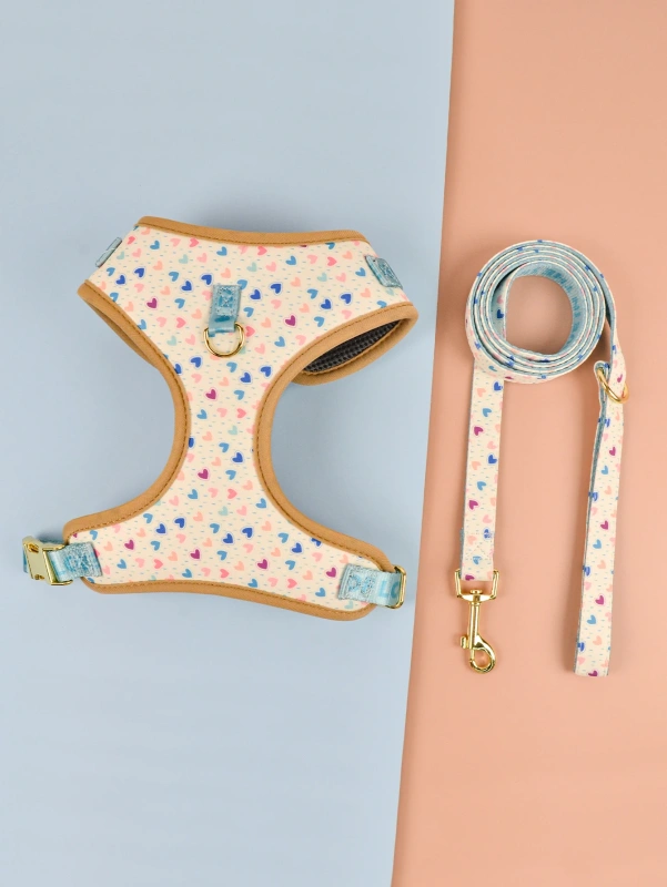 1 Pcs Cute Design Adjutable Luxury Designer Pet Harness &1 Pcs Color Matching Pet Dog Leashes For Small And Medium Puppy