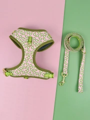 1 Pcs Cute Design Adjutable Luxury Designer Pet Harness &1 Pcs Color Matching Pet Dog Leashes For Small And Medium Puppy
