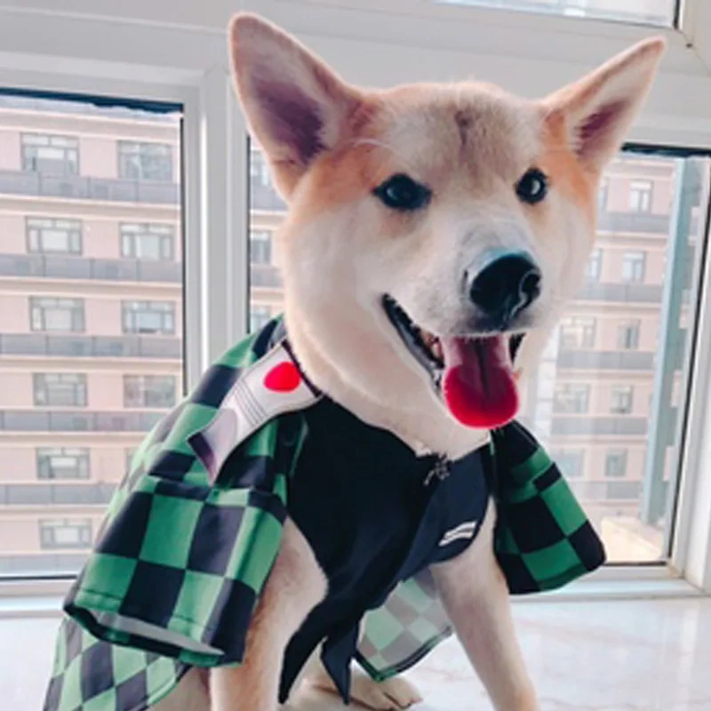 Demon Slayer Cat Puppy Costume Adorable Design Tanjirou Small Dog Kitty Cosplay Costume Clothing Outfit Cute Pet Kimono