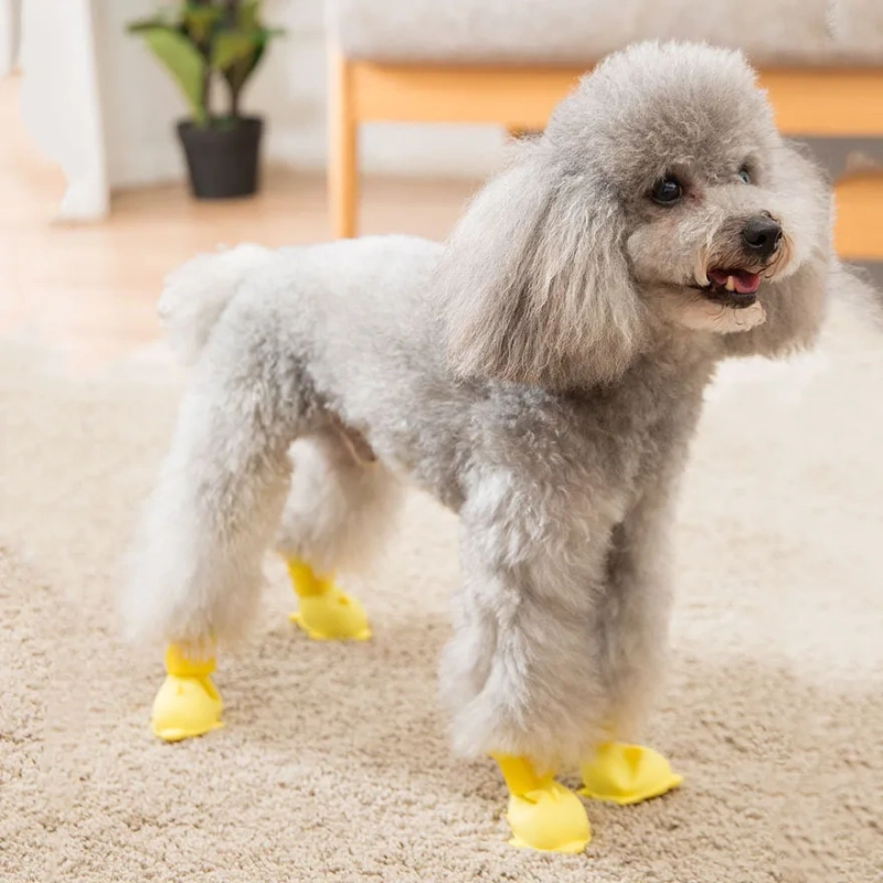 dog boots Cartoon puppy dog shoes Pomeranian bear teddy shoes jelly rain boots