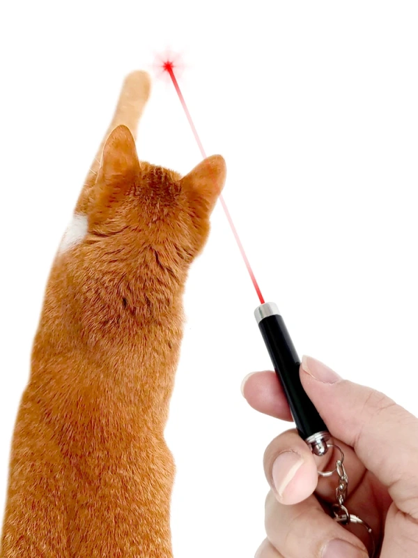 4mW Mini Light Training Torch Flashlight Teasing Cat Keychain LED Laser pointer Portable Pet Cat Tickle Toy Pointer No battery