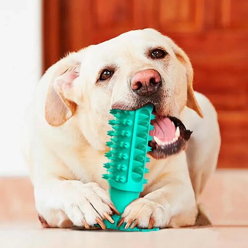 Dog Toys Grinding Teeth Toy For Puppy Cleaning Teeth With Serrated Teething Bump Puppy Essentials Toothbrush For Home Pet