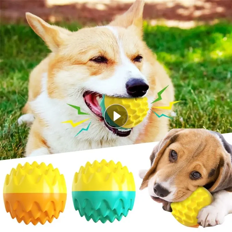 Dog Squeaky Toys Balls Strong Rubber Durable Bouncy Chew Ball Bite Resistant Puppy Training Sound Toy Teeth Clean Pet Supplies