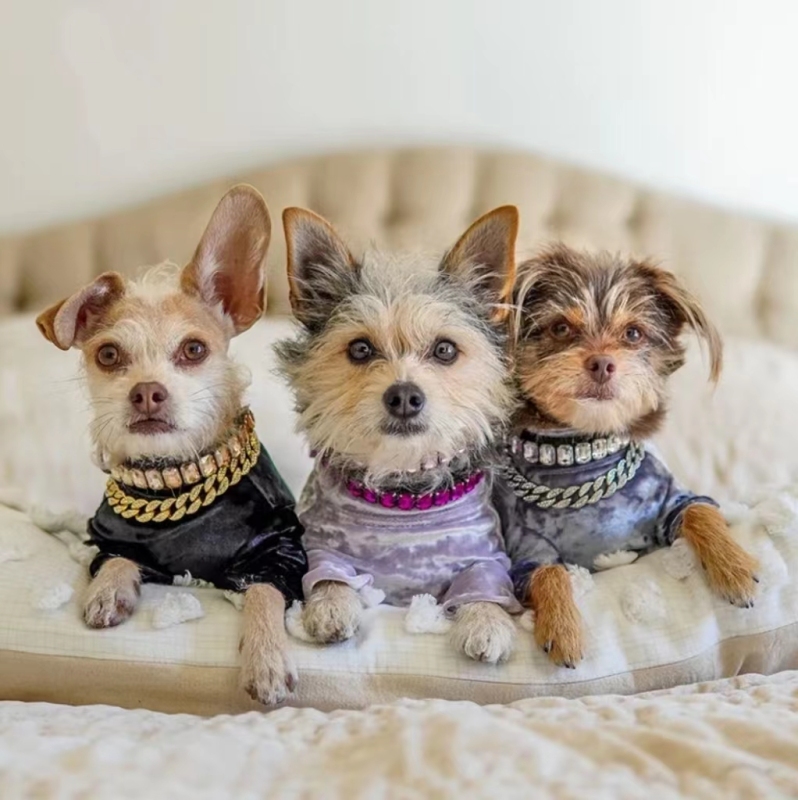Luxury Dog Collar Rhinestone Pet Necklace PU Leather Adjustable Cat Dog Collar Small Medium Large Dog Pet Accessories Supplies