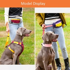 New Pet Dog Collar Soft Padded Comfortable Durable Nylon Pet Collar Multifunctional Dog Leash With Waist Bag Convenient Outdoor