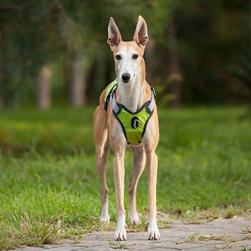 Adjustable Tank Top Pet Chest Strap Explosion-proof Big Dog Chest Strap Oxford Reflective Large Medium Small Pet Traction Rope
