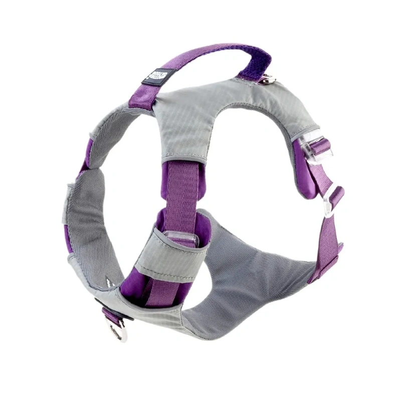 Dog Collar Large Explosion-proof Impact Leash Dog Harnesses Painless Designer Dogs Collar Pectoral Pet Accessories Supplies