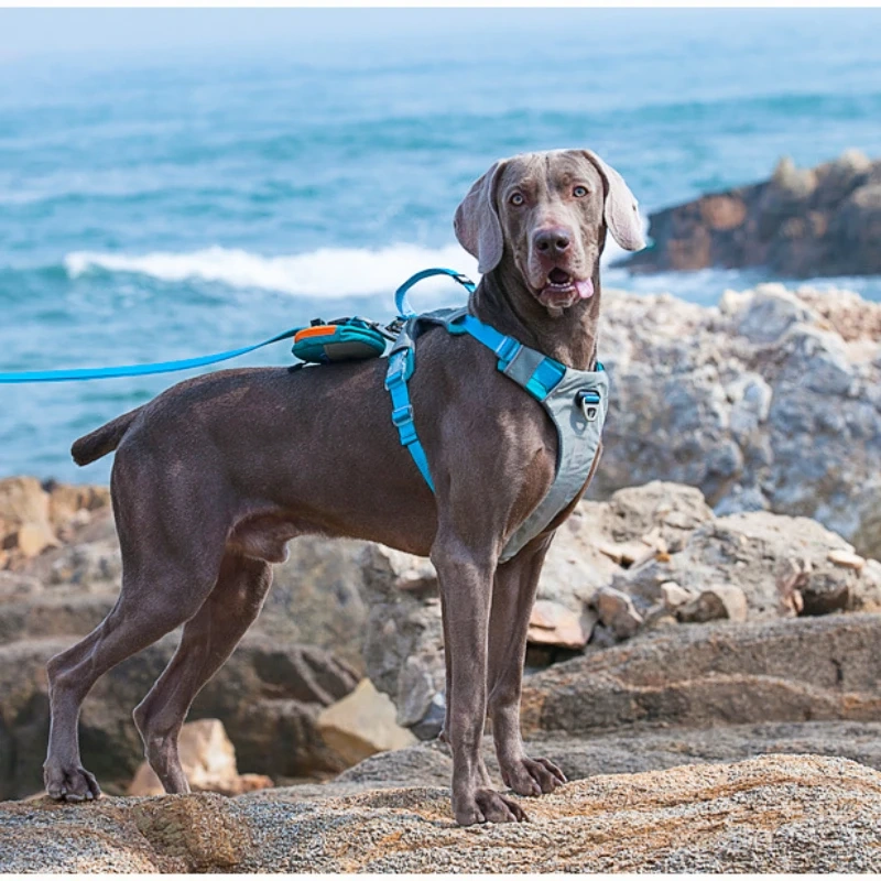 Dog Collar Large Explosion-proof Impact Leash Dog Harnesses Painless Designer Dogs Collar Pectoral Pet Accessories Supplies