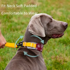 New Pet Dog Collar Soft Padded Comfortable Durable Nylon Pet Collar Multifunctional Dog Leash With Waist Bag Convenient Outdoor