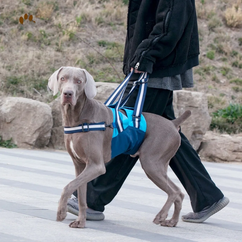 Disabled Dog Chest Strap Pet Dog Traction Belt Strap Elderly Dog Auxiliary Strap Injury Hind Leg Rehabilitation Booster Belt