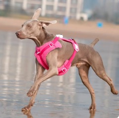 Dog Harness Adjustable  Pet accessories  dog bandana harness for dogs  Outdoor pet training