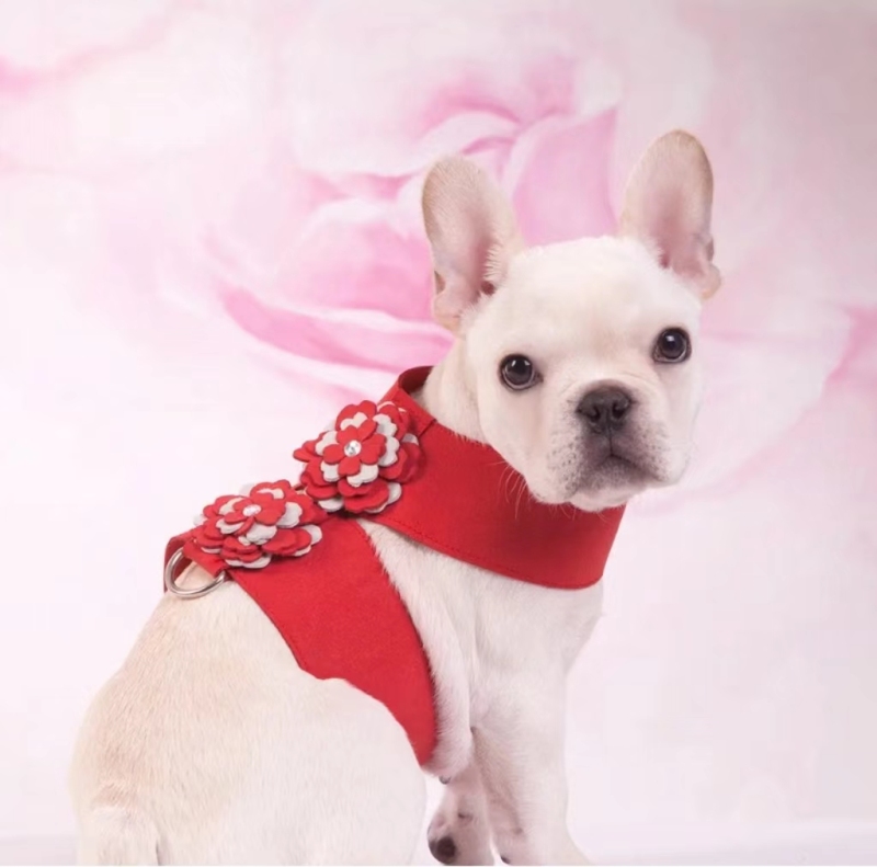 Hot selling  puppy dog harness  Lovely cat harness  Custom design soft fabric small dog harness and leash set
