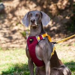 Dog Harness Breathable Sport Harness with Handle-Reflective Adjustable for Medium Large Dogs,Back/Front Clip for Easy Control
