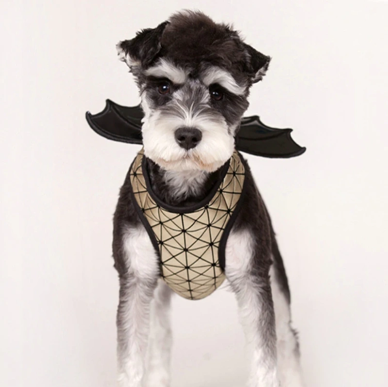 Fashion Pet Dog Harness Leash Training Walk Vest Small Medium Dogs Cat Bat Wings Harness With Leash Set Chihuahua Pet Products