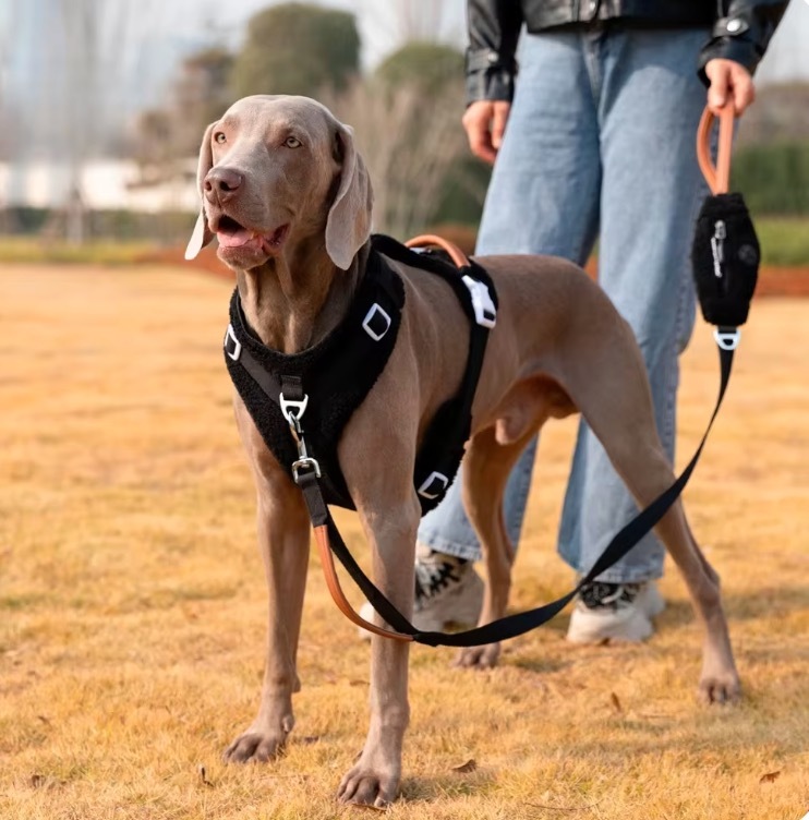 Dog Harness Adjustable  Pet accessories  dog bandana harness for dogs  Outdoor pet training