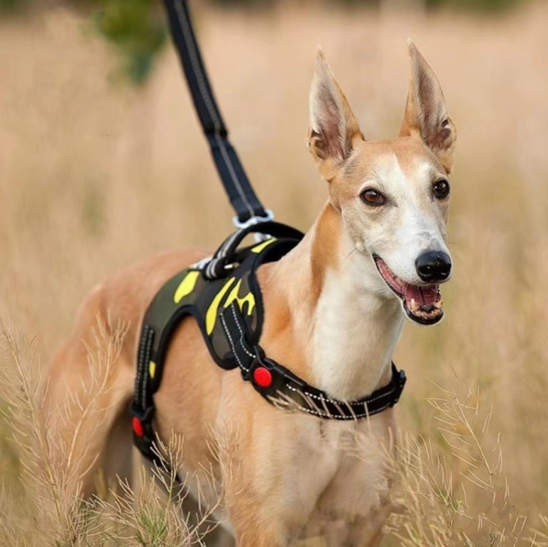 Pet Gear dog products New Custom design dog harness  No Pull Reflective Handle Pet Vest