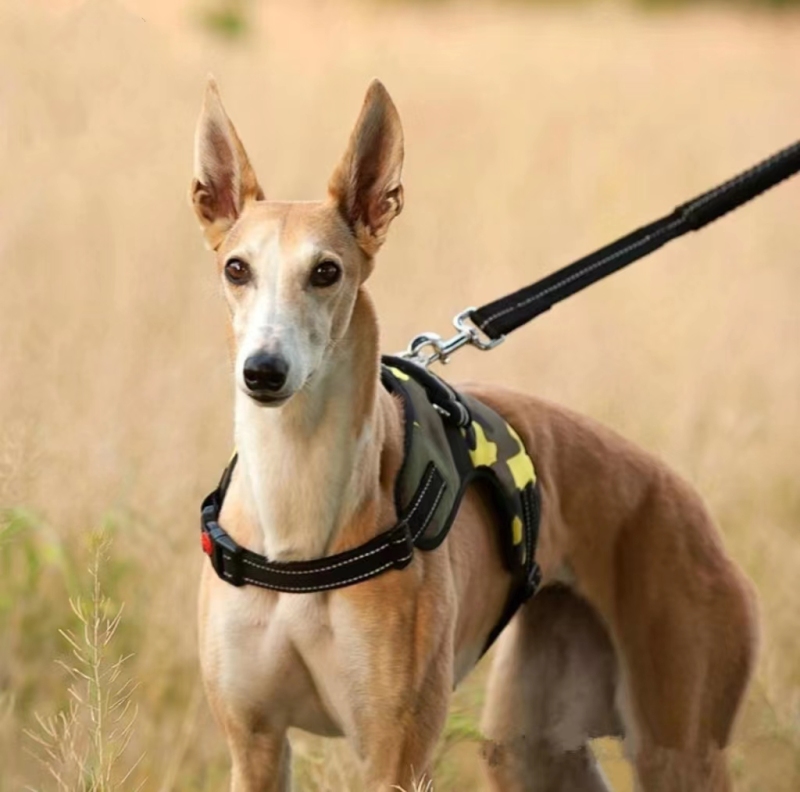 Pet Gear dog products New Custom design dog harness  No Pull Reflective Handle Pet Vest