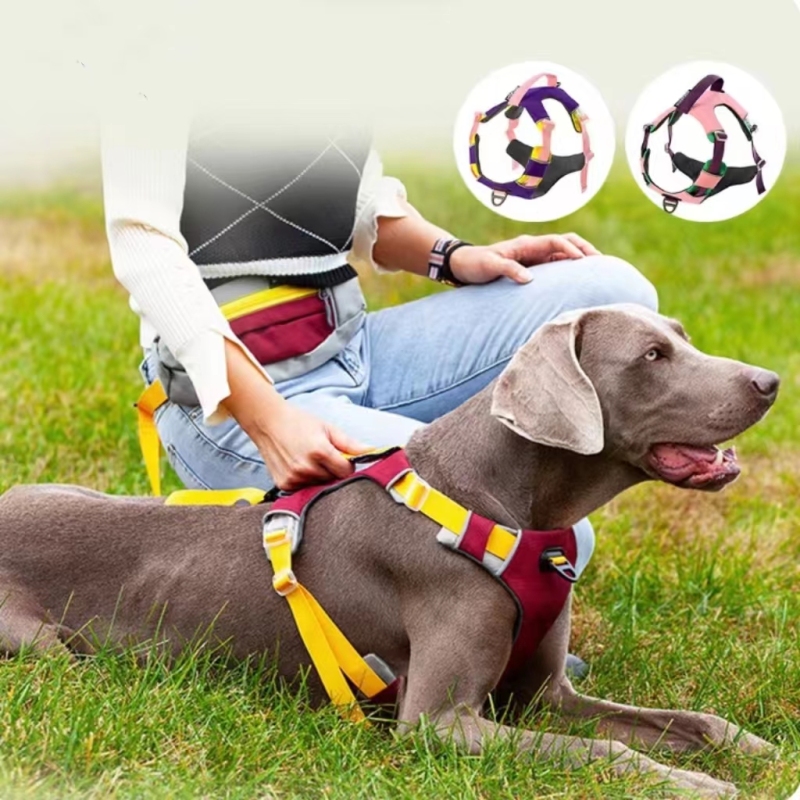 Dog Harness Breathable Sport Harness with Handle-Reflective Adjustable for Medium Large Dogs,Back/Front Clip for Easy Control