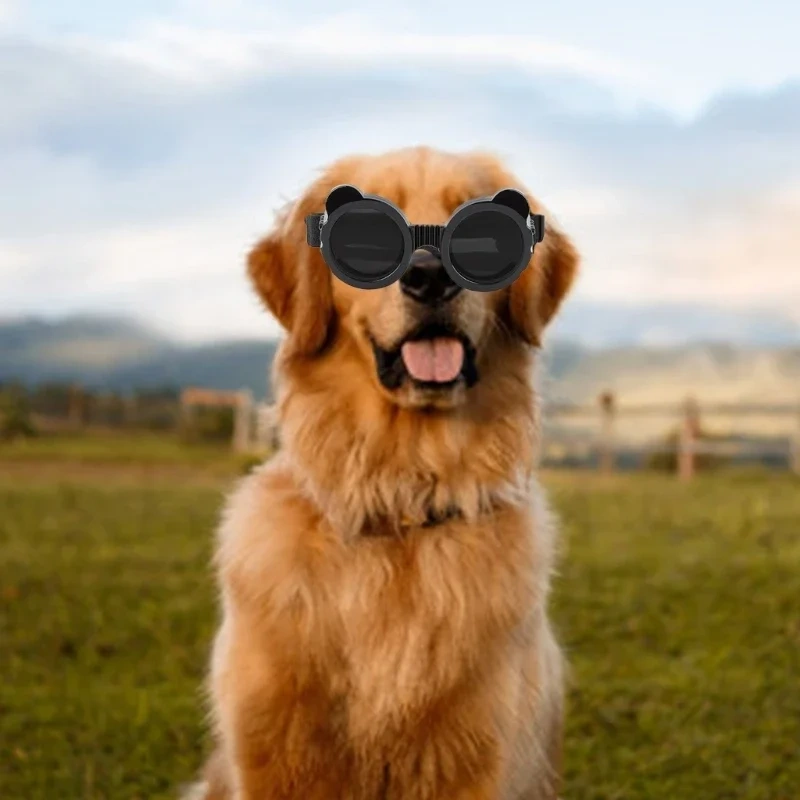 Pet Goggles for Small Dogs PVC Sun Protective Goggles with Adjust Belt Elastic Dog Goggles