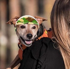 Pet Helmets Dog Cat Bicycle Motorcycle Helmet Outdoor Riding Dog Safety Hat For Traveling Head Protection Pet Travel Supplies