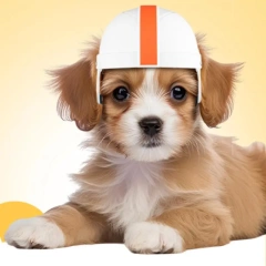 Dog Safety Hat Pet Hard Safety Hat For Motorcycle Riding Stylish Doggy Hat Adjustable Safety Pet Hat For Walking And Outdoor