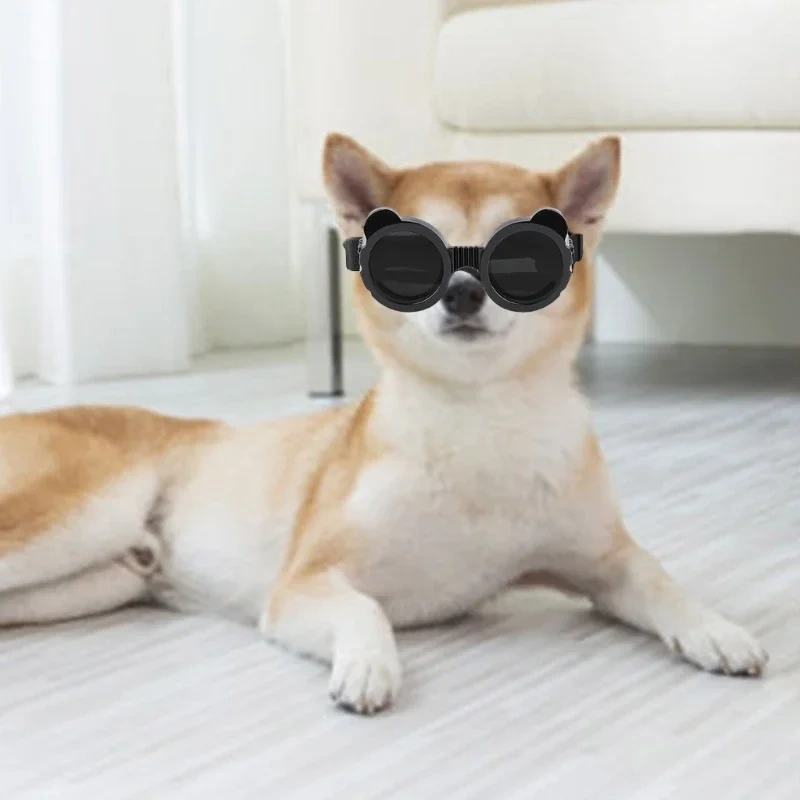 Pet Goggles for Small Dogs PVC Sun Protective Goggles with Adjust Belt Elastic Dog Goggles
