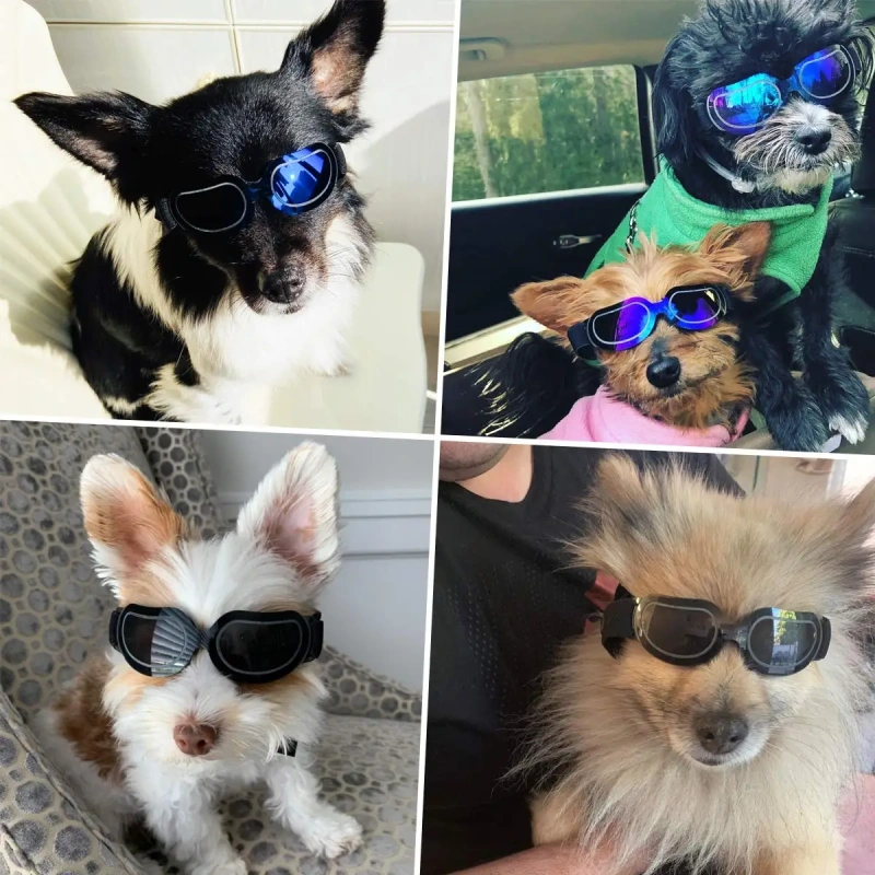 Dog Goggles Small Breed UV Lens Doggy Sunglasses for Small Dogs Eyes Protection Outdoor Antifogging Snowproof Windproof Glasses