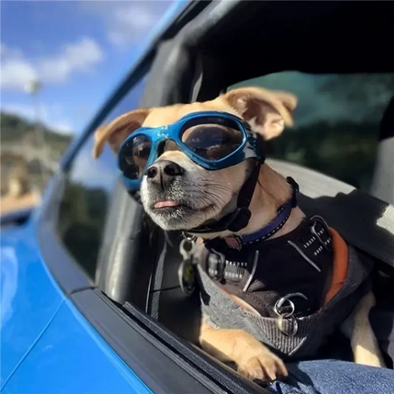 Pet Dog Sunglass Sun Glasses Cat Goggles Eye Wear Puppy Protection Grooming Accessories Decoration