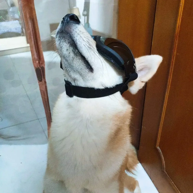 Adjustable Pet Dog Goggles Sunglasses Anti-UV Sun Glasses Eye Wear Protection Black Widely Used Dog Sunglasses Pet Dog Supplies