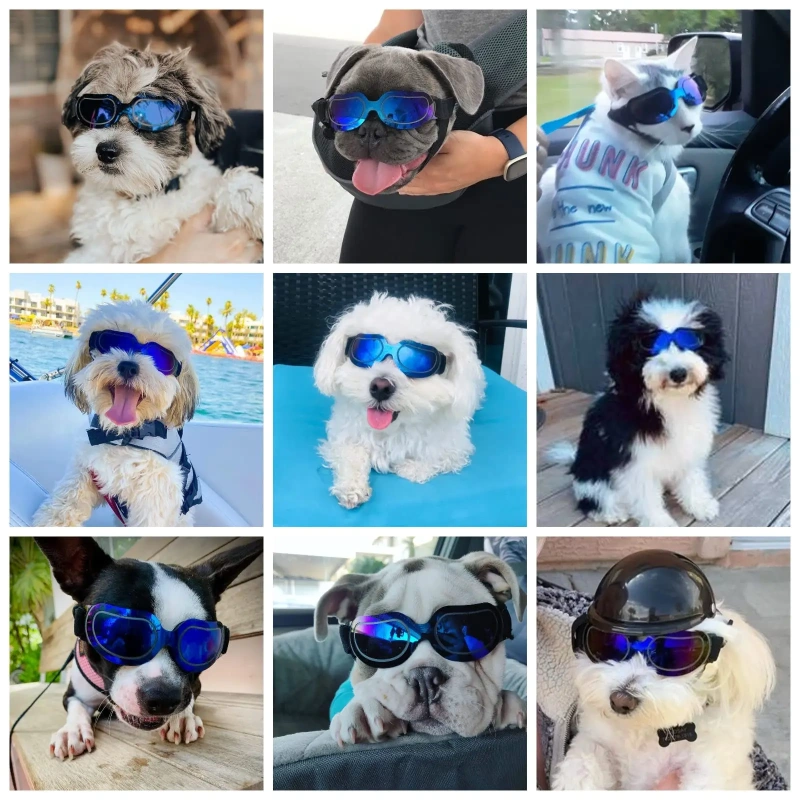 Dog Goggles Small Breed UV Lens Doggy Sunglasses for Small Dogs Eyes Protection Outdoor Antifogging Snowproof Windproof Glasses