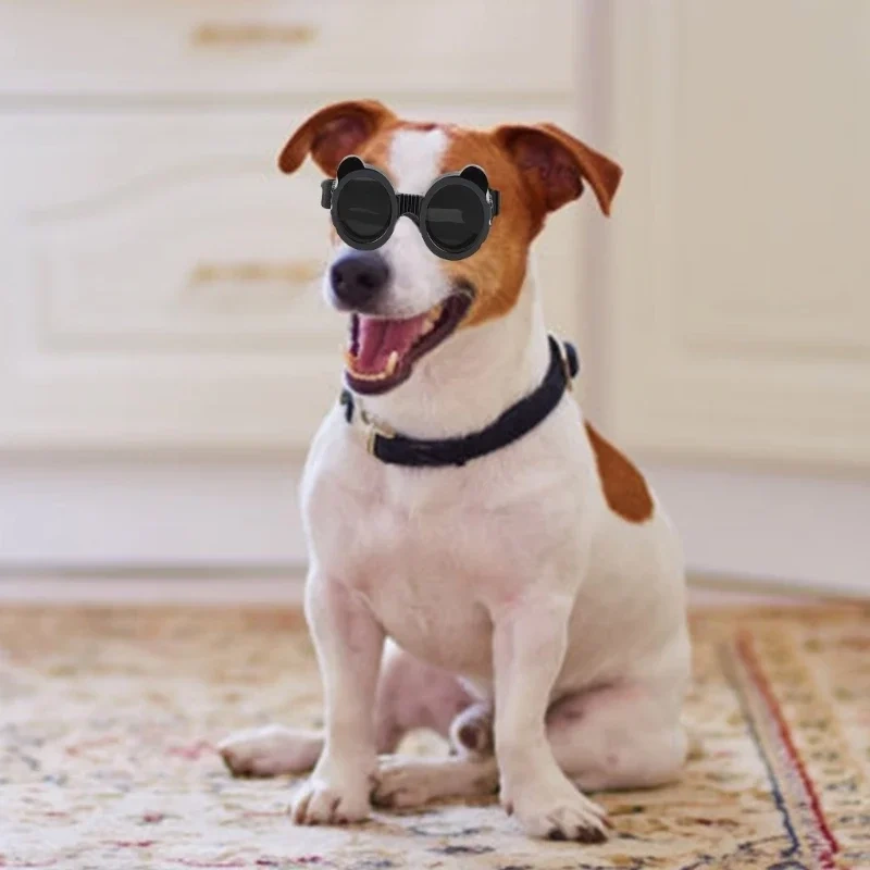 Pet Goggles for Small Dogs PVC Sun Protective Goggles with Adjust Belt Elastic Dog Goggles