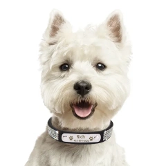 Personalized Nameplate Bling Cat Dog Collar Custom Free Engraved ID Name Tag Pet Dog Collars for Small Medium Large Dogs