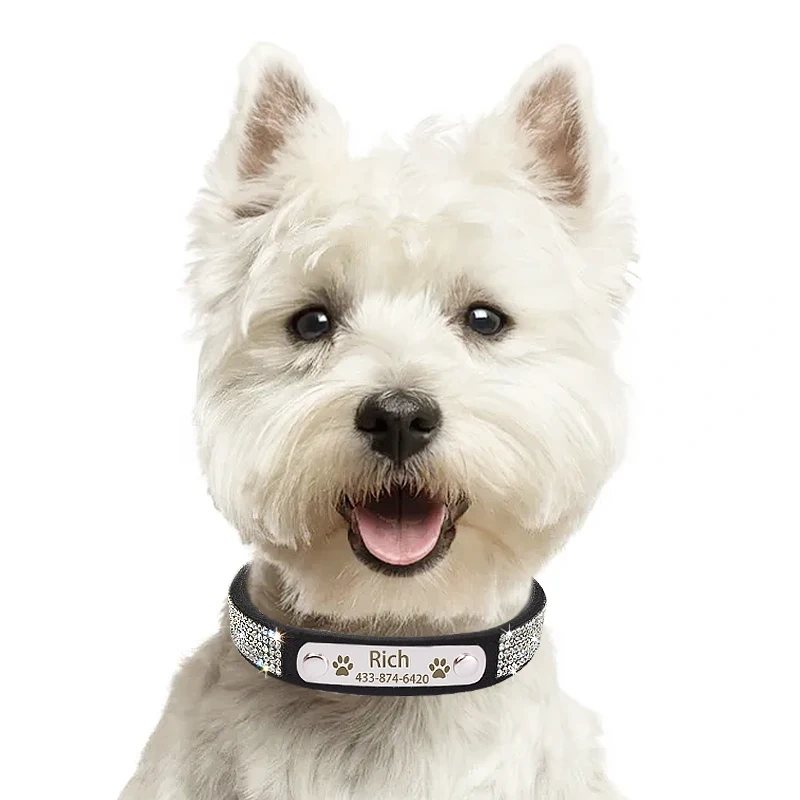 Personalized Nameplate Bling Cat Dog Collar Custom Free Engraved ID Name Tag Pet Dog Collars for Small Medium Large Dogs
