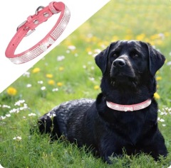 Eye-catching Dog Necklace Strong Anti-choke Fadeless Fashion Rhinestone Dog Necklace