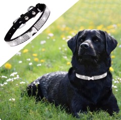 Eye-catching Dog Necklace Strong Anti-choke Fadeless Fashion Rhinestone Dog Necklace