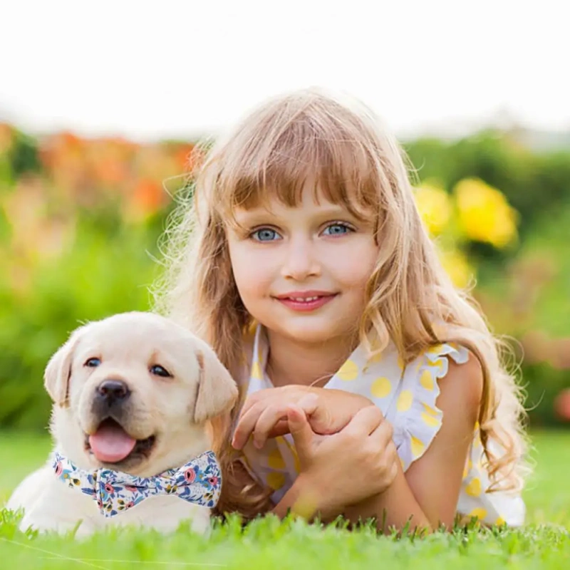 Dog Necklace Adjustable Reusable Cat Collar  Floral Print Lovely Pet Neck Circle