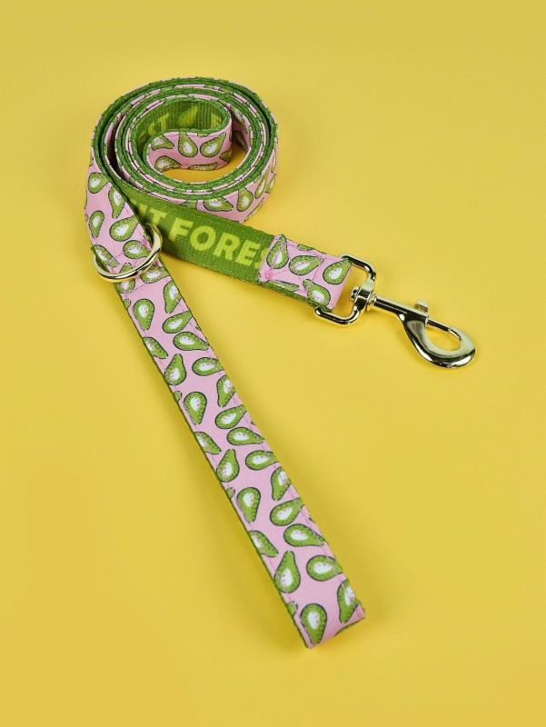 1 Pcs Summer Cute high quality gold hardware Luxury Pet Trash Bag & Traction Rope Double sided print Pet dog & cat holiday gift