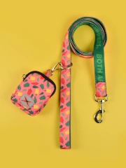 1 Pcs Summer Cute high quality gold hardware Luxury Pet Trash Bag & Traction Rope Double sided print Pet dog & cat holiday gift