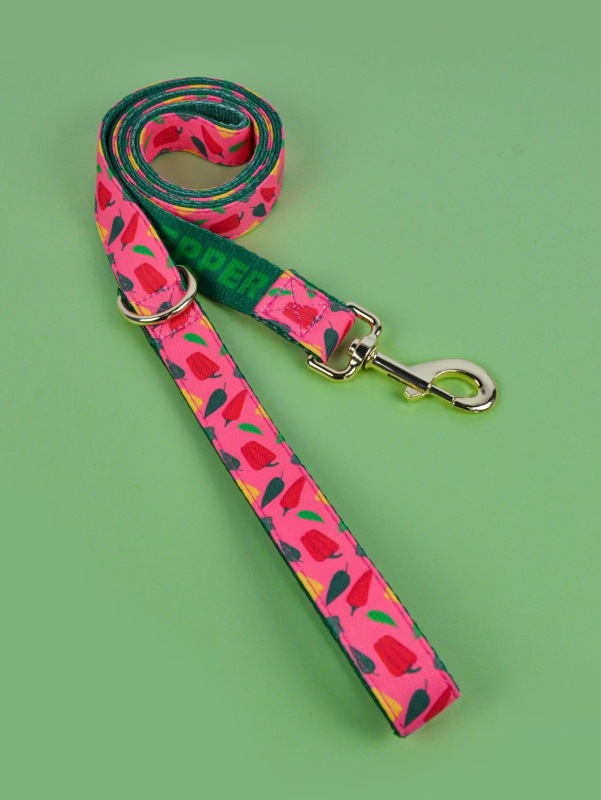 1 Pcs Summer Cute high quality gold hardware Luxury Pet Trash Bag & Traction Rope Double sided print Pet dog & cat holiday gift