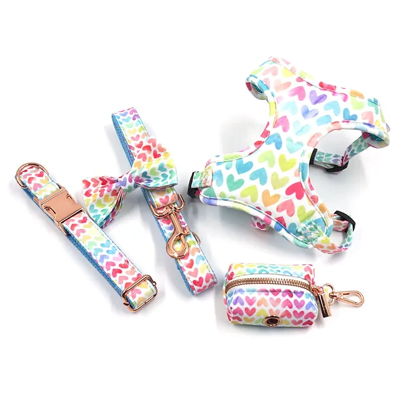 Soft Padded Dog Harenss for Small Dogs Valentine's Day Heart Printing Personalized Dog Collar with Leash Poop Bag Puppy Gift Set