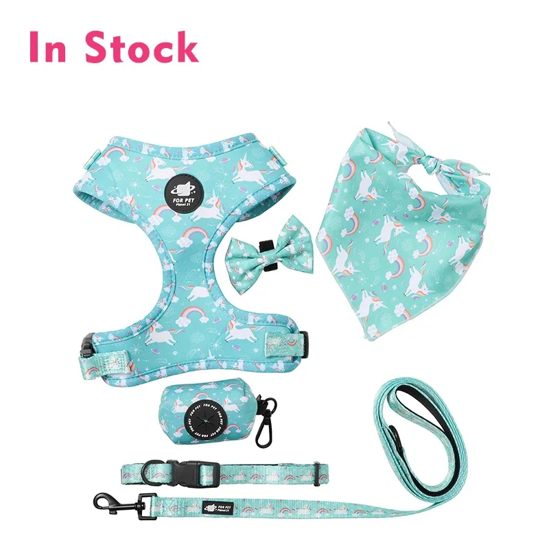 BEEMAN Fashion Printed Nylon Dog Harness Vest Reflective No Pull Dog Harness Leash Set For Small Medium Dogs Cats French Bulldog