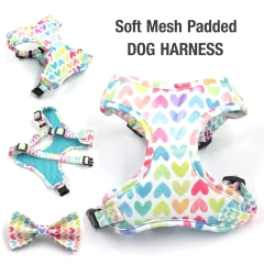Soft Padded Dog Harenss for Small Dogs Valentine's Day Heart Printing Personalized Dog Collar with Leash Poop Bag Puppy Gift Set