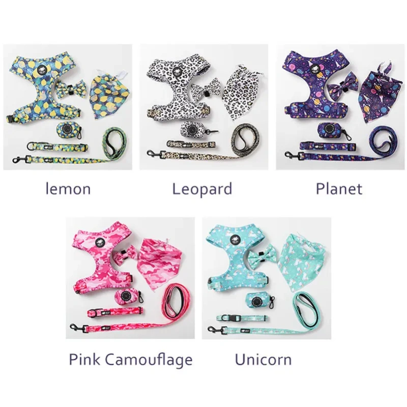 BEEMAN Fashion Printed Nylon Dog Harness Vest Reflective No Pull Dog Harness Leash Set For Small Medium Dogs Cats French Bulldog