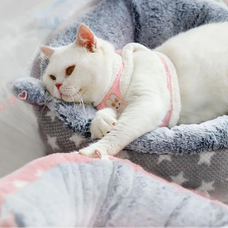 1 Set Comfortable Cat Vest Harness Soft Handle Out Towing Tear Resistant Cat Chest Strap Leash