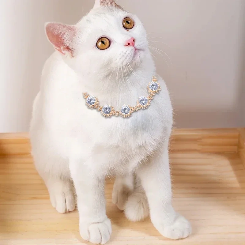 Bling Diamond Cat Necklace Fashion Luxury Shining Collars for Dog Adjustable Cats Puppy Chihuahua Wedding Pet Accessories