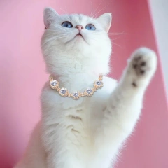 Bling Diamond Cat Necklace Fashion Luxury Shining Collars for Dog Adjustable Cats Puppy Chihuahua Wedding Pet Accessories