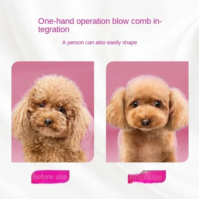 Pet Hair Dryer Dog Grooming 2-In-1 Comb Brush Dryer Cat Dogs Hair Comb Low Noise Massage Hair Not Hurt Hair Water Blower
