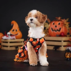 Pumpkin Lace Dress Pet Supplies Halloween Party Double Layered Dress Dog Clothing